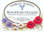 Georges Duboeuf - Beaujolais Villages 2020 (750ml)