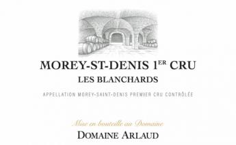 Domaine Arlaud - Morey-Saint-Denis 1er Cru Les Blanchards 2019 (750ml) (750ml)